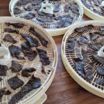 Beef Jerky